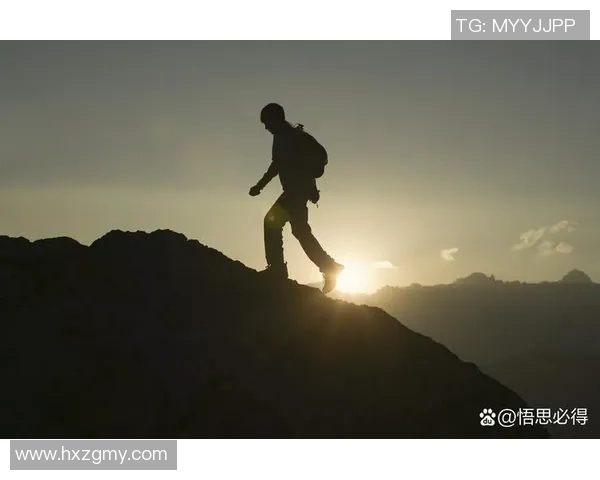 麦卡利斯特的传奇之路：从平凡到卓越的奋斗故事与人生启示